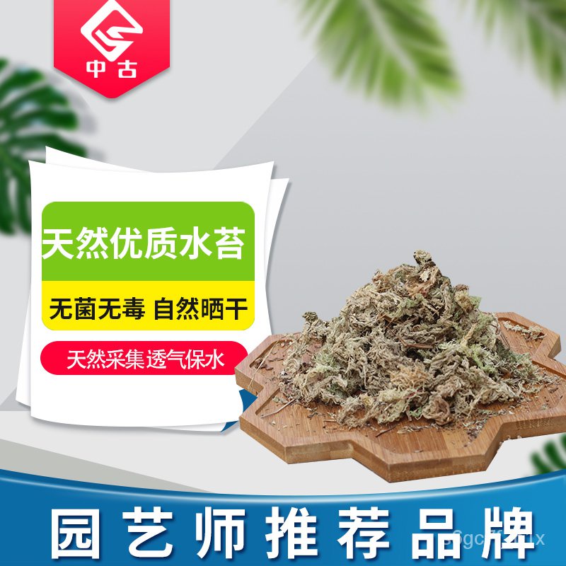 現貨 熱賣 中古水苔無菌智力乾水苔蘭花無土栽培介質營養土蝴蝶蘭花專用花土 蝦皮購物