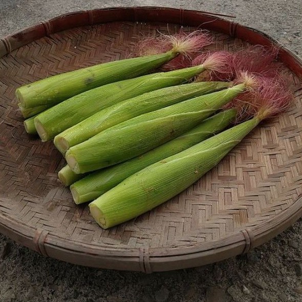 紅鬚玉米筍 詳情請點入瞭解👆 國產 玉米筍 蔬菜 火鍋 火鍋料 烤肉 團購 團媽 店家