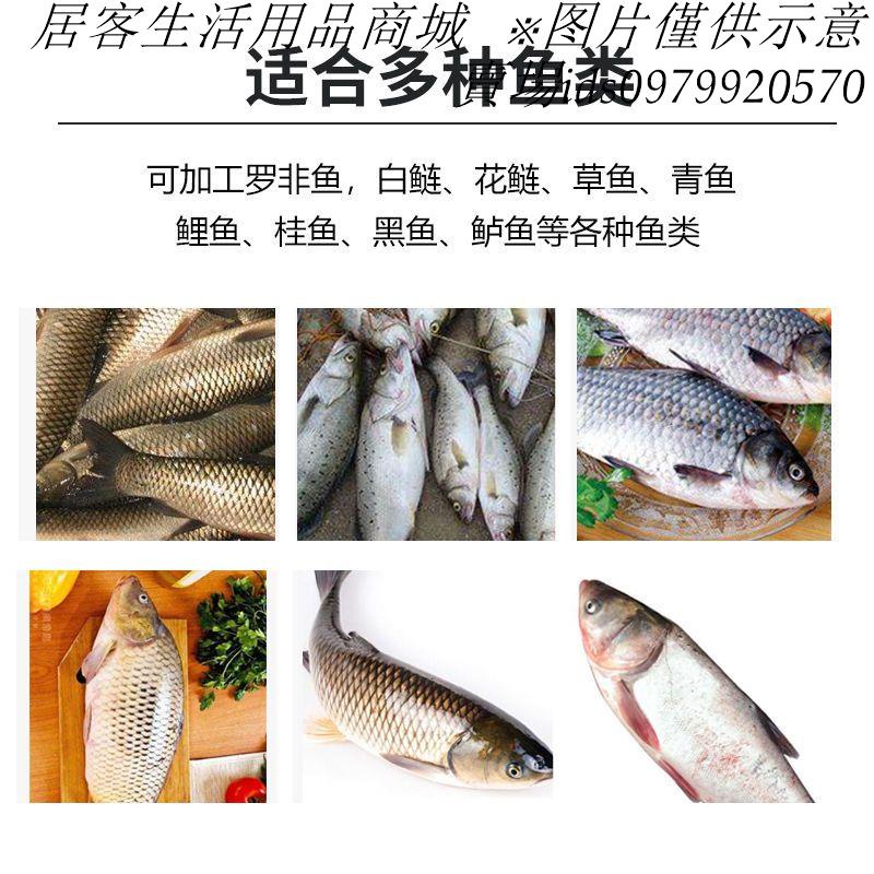 現貨 免運可開發票杀鱼机器全自动去鳞开背开肚商用一体机宰鱼机剖腹全自动杀鱼机 蝦皮購物