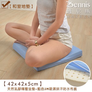 馬來西亞天然乳膠釋壓坐墊/椅墊/趴睡枕/午睡枕/靠墊