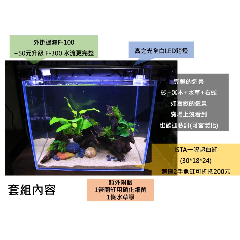 1尺缸套缸 造景內含超白缸 外掛過濾 高之光全白led燈 造景適合鬥魚 觀賞蝦水族新手適用 蝦皮購物