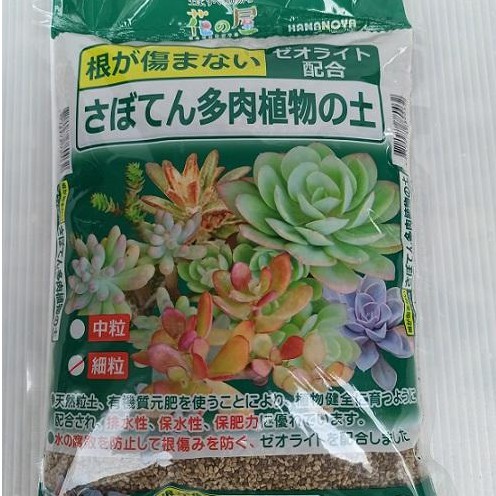 現貨 全館590超取免運 日本進口 花之屋 仙人掌 多肉植物專用培養土10l 超取限1包 蝦皮購物