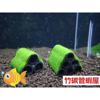 竹炭單孔 綠藻長3公分蝦屋單孔 綠藻長5公分蝦屋水晶蝦孔雀魚躲藏 蝦皮購物