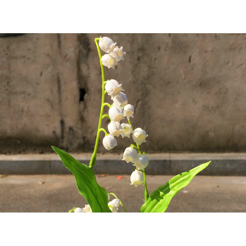 鈴蘭花 高仿真北歐風清新婚慶仿真花束手感仿真鈴蘭塑料花假花結婚拍照道具捧花開業佈景 蝦皮購物