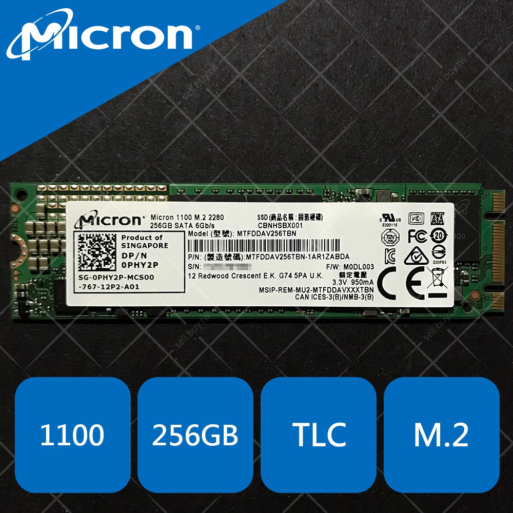 美光 Micron 1100 256GB M.2 2280 SATA 256G SSD 固態 240GB 240G M2