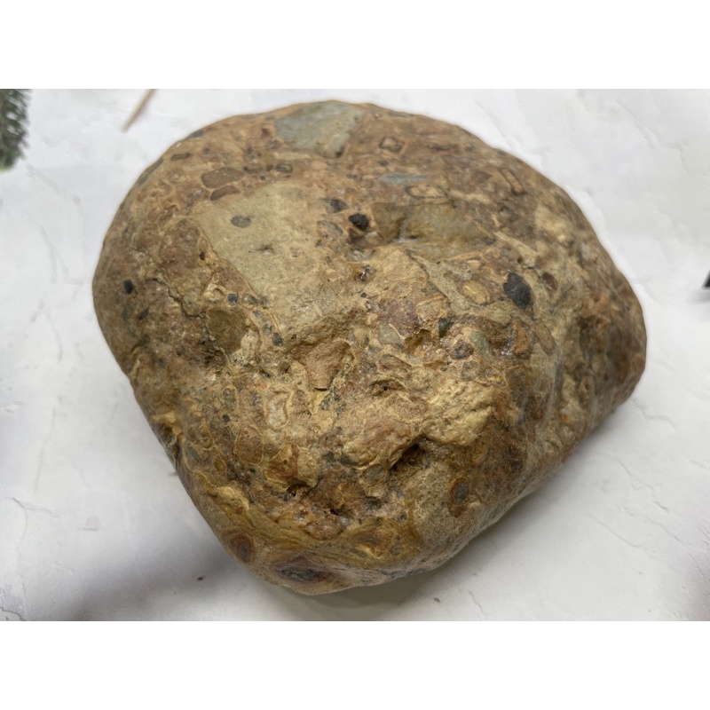 D4716天然泰國龍宮舍利原礦 泰國龍宮 原礦 原石 擺件 可以買回去自己雕刻喜歡的物件