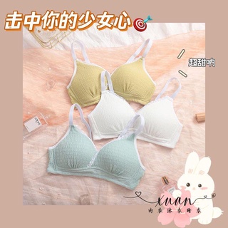 Xuan♥少女內衣新款純欲學生薄款蕾絲三角杯無鋼圈小胸顯小法式聚攏文胸