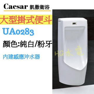 🔸HG水電🔸 Caesar 凱撒衛浴 大型掛式便斗 UA0283 免運 內建感應沖水器