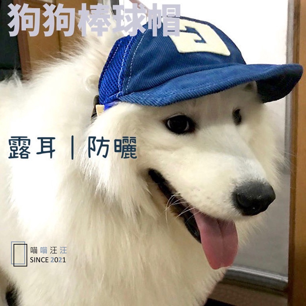 台灣犬棒球 Ptt Dcard討論與高評價網拍商品 21年10月 飛比價格