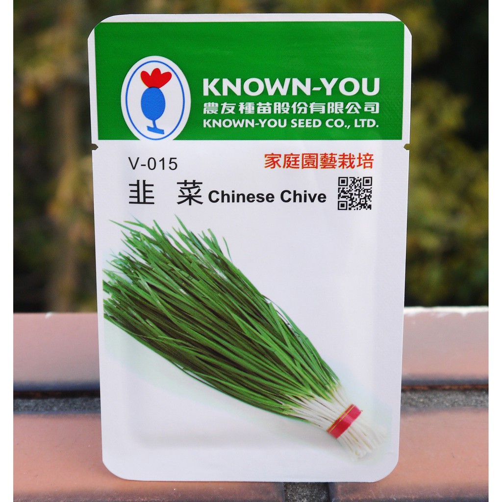 韭菜 🌱種子🌱任選綠色包裝五包送種子(隨機)🌱(蔬菜)(拌炒)【花樣渼栽盆栽生活館🌿】