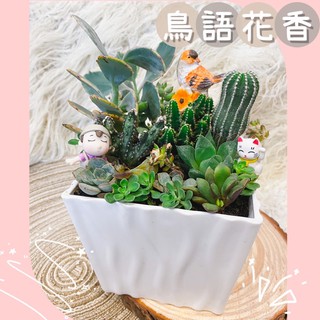 原創｜現貨-鳥語花香 招財貓盆栽/開幕祝賀盆栽/店內擺飾/多肉植物/ins拍照道具背景/療癒盆栽/室內植物/綠化