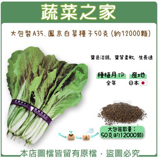 蔬菜之家滿額免運【00A35】大包裝鳳京白菜種子50克
