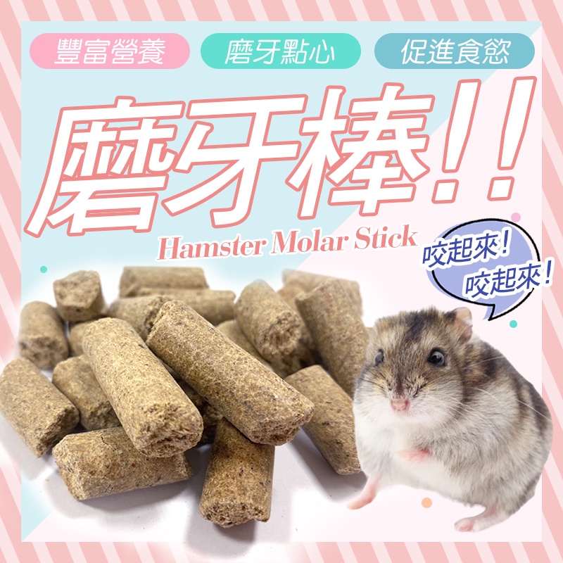 【台灣製】寵物鼠 磨牙棒100g 黃金鼠 倉鼠 兔子 老鼠飼料 磨牙點心 磨牙餅 磨牙磚 高品質 便宜