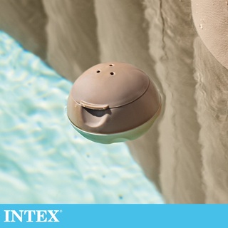 【INTEX】泳池氯碇/鹽碇消毒藥劑放置盒 15100100(29044)