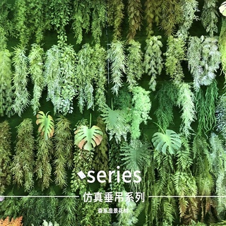 ❤️模擬植生牆❤️仿真植物 模擬藤蔓 手感蕨類植物 模擬吊頂壁掛植物牆 裝飾植物 櫥窗裝飾