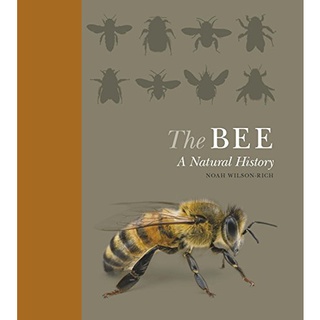《文化國際通》The Bee: A Natural History-蜜蜂：自然故事