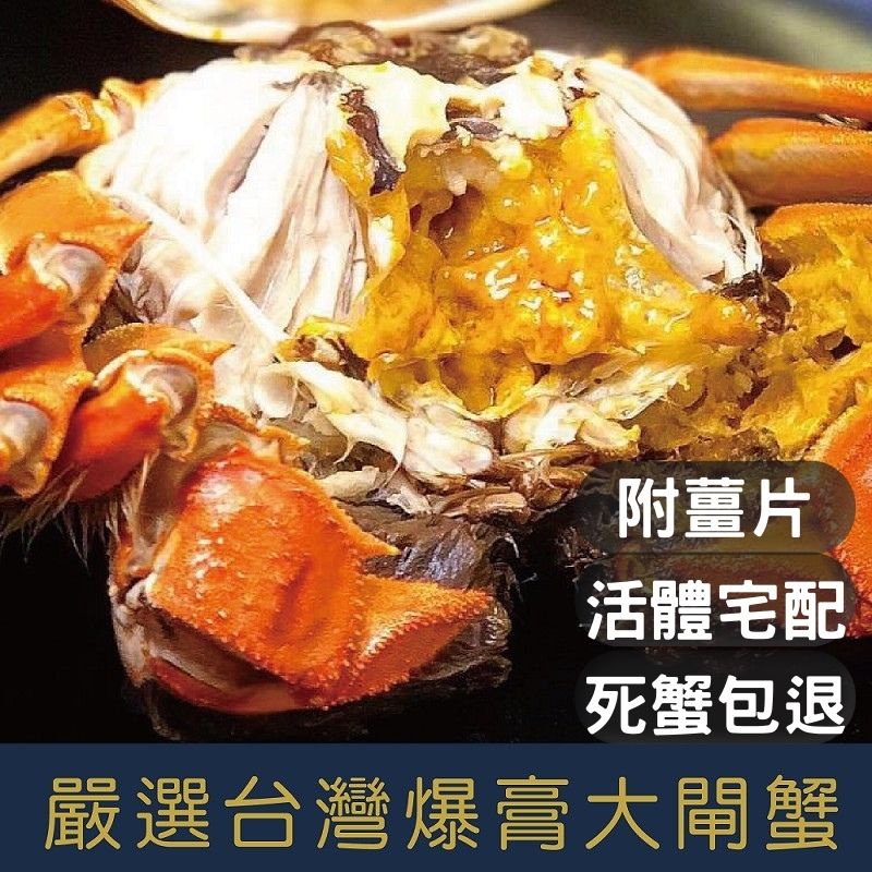 活體冷藏 就是愛海鮮 5 5 6 5兩嚴選台灣鮮甜無毒aa級大閘蟹超飽滿蟹膏活蟹直接送到家 499 隻起 蝦皮購物