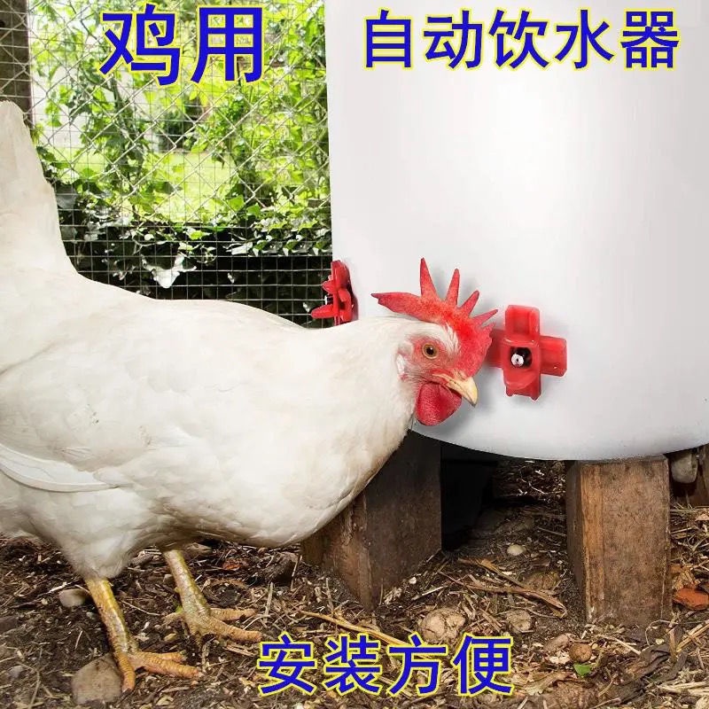 新型雞用飲水器飲水嘴紅頭自動喂水乳頭飲水器養殖設備出口型水嘴