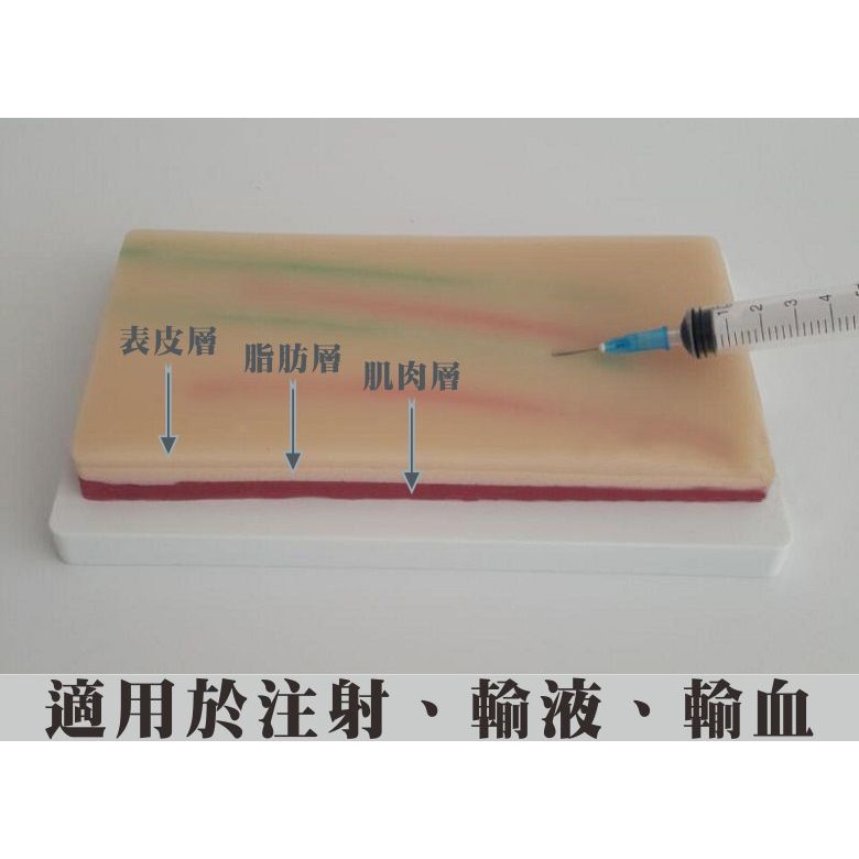 可開發票 靜脈注射練習模型 皮膚縫合模型 皮膚模型 皮膚靜脈穿刺 打針練習 微整形 仿真 教學示範用具ARAO客滿來