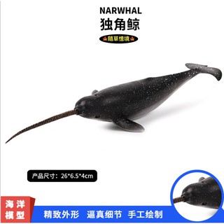 （稀有！高品質畫工）模擬 獨角鯨 海洋生物 鯨魚 動物模型 野生動物 兒童玩具 益智 公仔 SPG