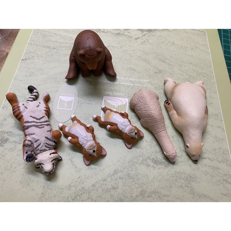 睡眠動物扭蛋 Ptt討論與高評價網拍商品 21年7月 飛比價格