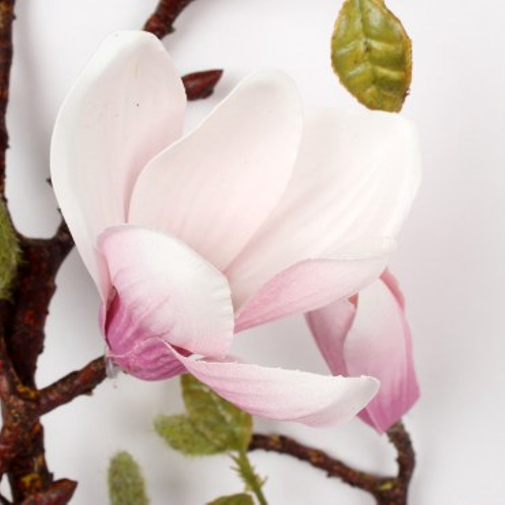 Hola 小木蓮紫 蝦皮購物