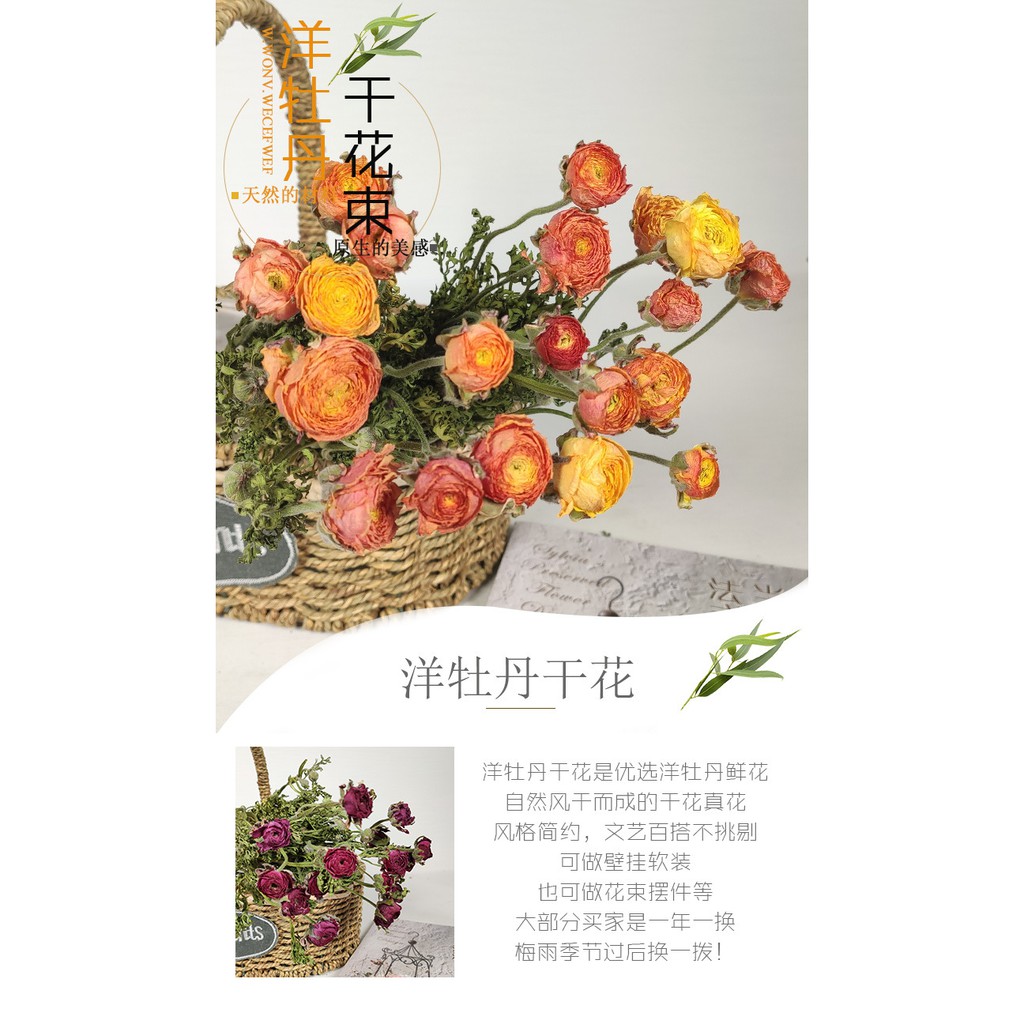 唯它廠家直銷洋牡丹干花花束ins北歐干花批發乾燥花客廳居家裝飾擺件乾燥花 蝦皮購物
