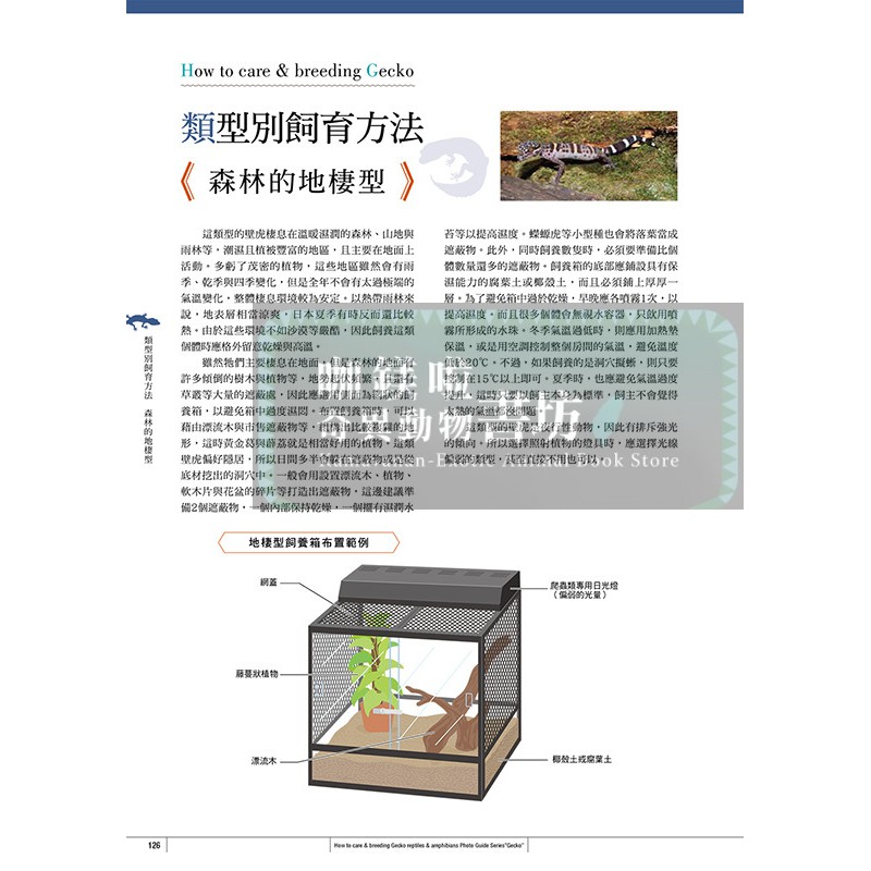 守宮夥伴超圖鑑 零基礎飼養入門 日翻中 蝦皮購物