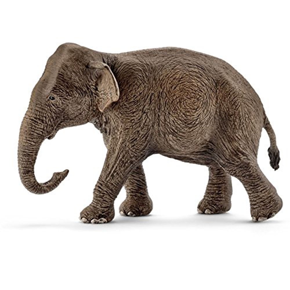 Schleich 史萊奇動物模型 亞洲象(母) SH14753