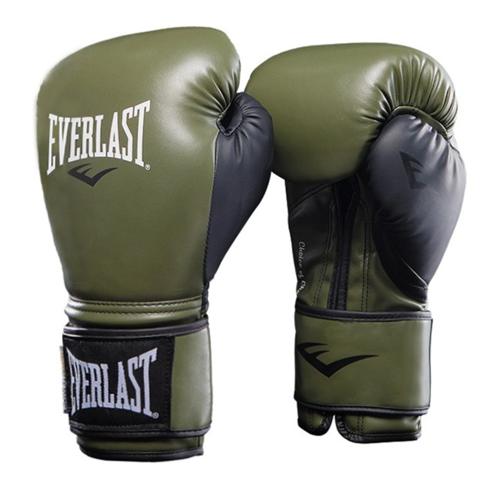 現貨 EVERLAST 拳擊手套 12盎司 OZ 格斗 搏擊 泰拳 拳套 訓練 沙袋 專業散打