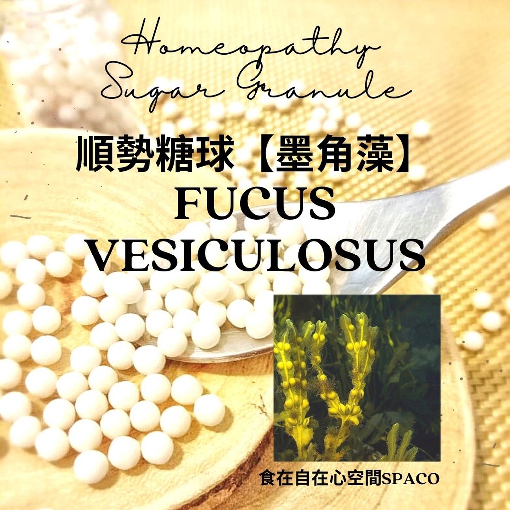 順勢糖球【墨角藻●Fucus Vesiculosus】Homeopathic Granule 9克 食在自在心空間