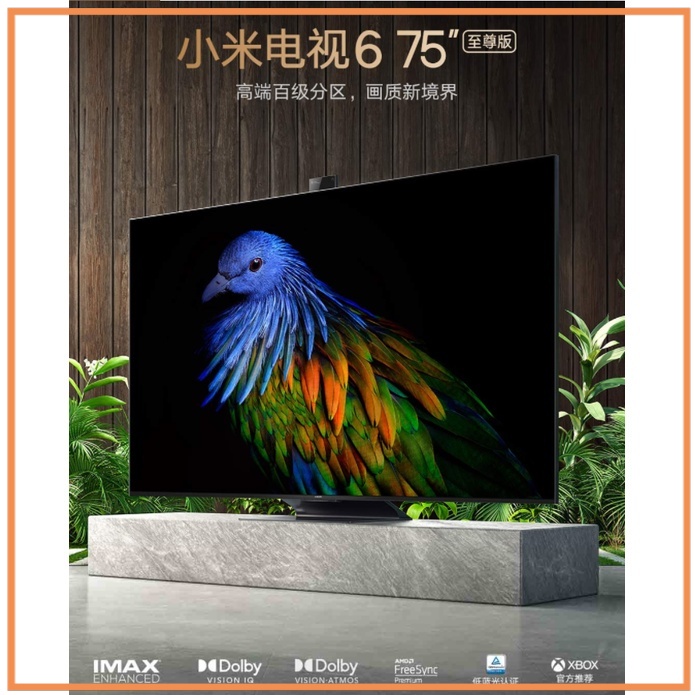 現貨 代購 小米電視6 至尊版 75吋 55吋 65吋 120Hz HDMI2.1 100W至尊音響⁂