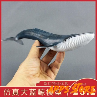 [Apps store]非常律師禹英禑 우영우大號鯨魚模擬海洋動物藍鯨模型玩具塑膠實心擺件兒童男海底總動員