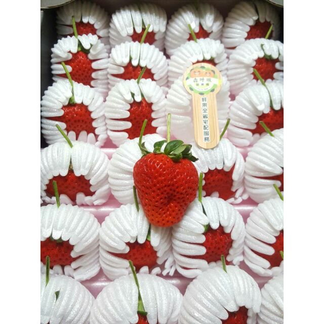 日本空運頂級蜜糖草莓 草莓之王 蝦皮購物