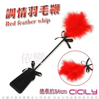 贈潤滑液【今天買❤明天到】虐戀精品CICILY激情挑逗羽毛鞭拍 SM情趣用品其他情趣精品成人專區18禁綑綁性愛輔助使用