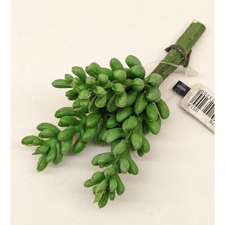 模擬迷你多肉植物/居家裝飾擺設 模擬多肉迷你耳墜草