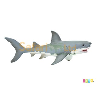 [美國Safari] 275029 大白鯊模型