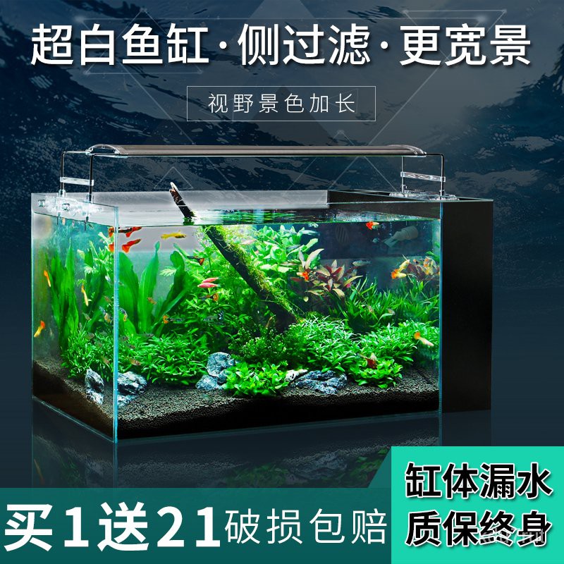客廳小型家用烏龜缸側濾免換水水族箱水陸魚缸裝飾金魚生態草缸 蝦皮購物