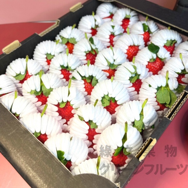 預購 綠之果物 糖蜜草莓菊池糖蜜草莓日本草莓長崎草莓熊本草莓蜜糖草莓過年禮盒草莓禮盒日本空運 蝦皮購物
