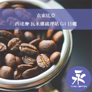 [永每咖啡]超值449元1磅裝,西達摩 瓦米娜處理站 G4 日曬(衣索比亞)淺焙咖啡豆,滿498元免運,新鮮烘焙