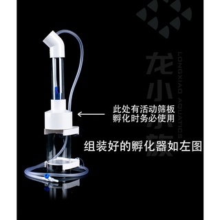 出清三湖慈鯛魚卵孵化器螯蝦異形大帆鬍子魚卵化器孵蛋器 蝦皮購物