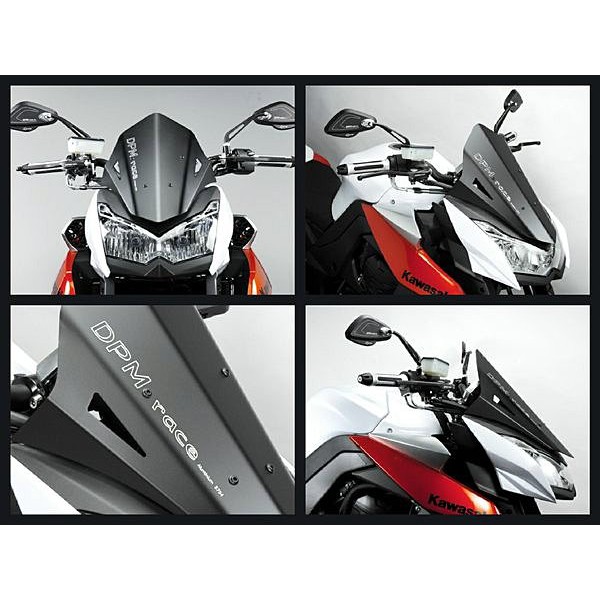 【MotoLAB】[預購]Kawasaki Z1000 義大利DPM Race 鋁製風鏡.台中最低價..
