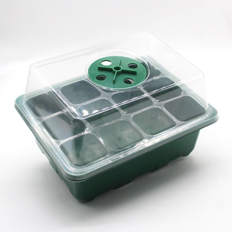 鹿角蕨實用孢子盒三合一整組有換氣孔台灣現貨