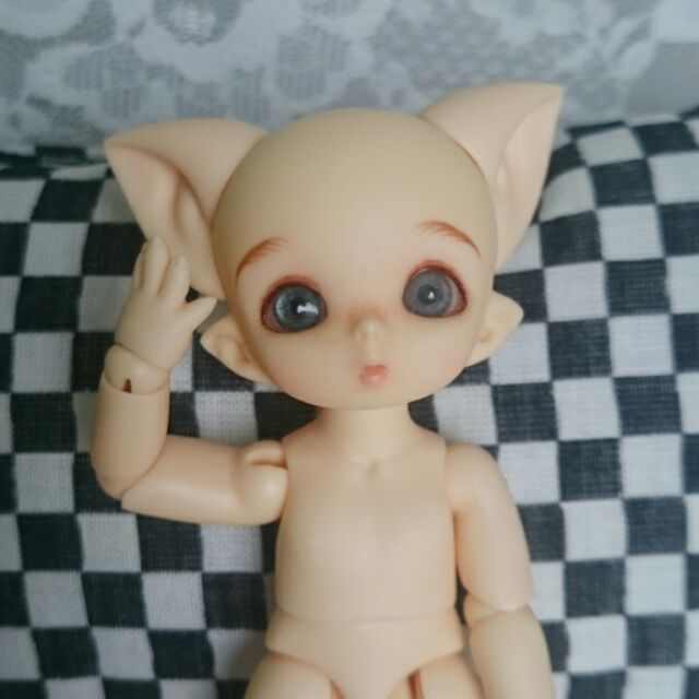 fairyland pukipuki