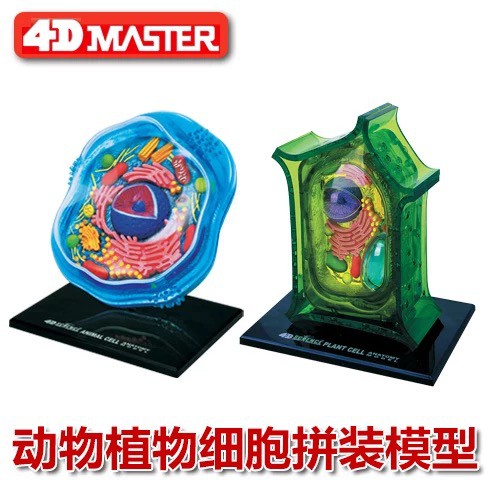 4d Master 動物細胞植物細胞拼裝模型動物細胞模型 蝦皮購物