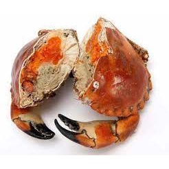 紅毛港海鮮市集 熟凍德文郡蟹 超多蟹黃 霸王蟹 麵包蟹