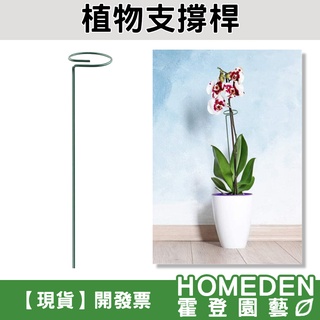 【隔日到貨】植物支撐桿 植物支架 蘭花支架 蝴蝶蘭 多肉植物 盆栽支架 花架 植物固定【HOMEDEN霍登園藝】
