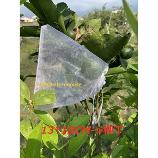 水果 果樹 網紗 網袋 禮品 包裝袋 精緻 套袋 小袋子 防蟲 果實 無花果 柳丁