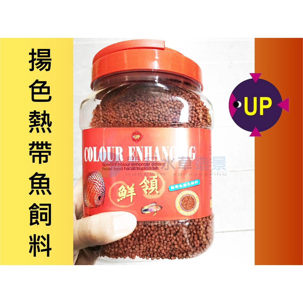 墨耘 Up雅柏 領鮮揚色熱帶魚飼料 大粒 小粒 1kg 1桶 630 蝦皮購物