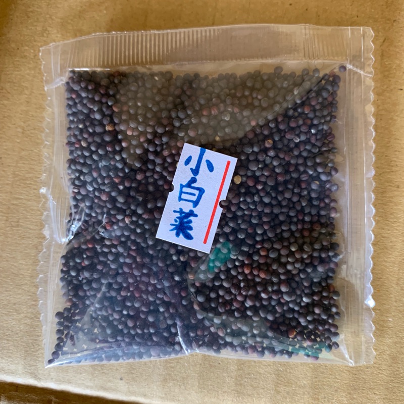 冬天蔬菜種籽-小白菜 A菜 牛奶白菜 青江菜 ⚠️滿100元才出貨